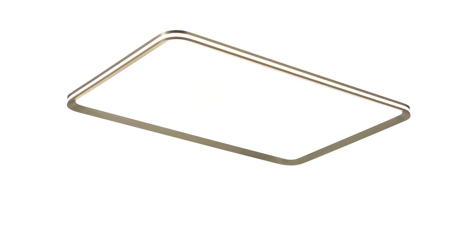 Modern Gold Flush Rectangle Ceiling Light CP181
