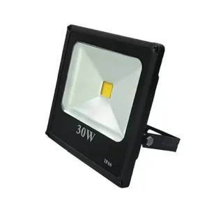 033 - 30W Floodlight
