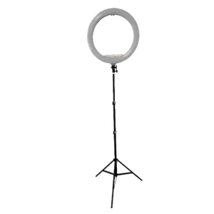 Modern Ring Floor light